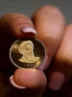قیمت سکه امروز سر به فلک کشید + جدول ۲۸ آبان قیمت سکه امروز سر به فلک کشید + جدول ۲۸ آبان