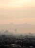 برای خانه خود نفس بخرید ؛ نجات از آلودگی با ۵ گیاه آپارتمانی برای خانه خود نفس بخرید ؛ نجات از آلودگی با ۵ گیاه آپارتمانی