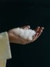 تبدیل پر مرغ به پارچه نفیس کشمیر تبدیل پر مرغ به پارچه نفیس کشمیر