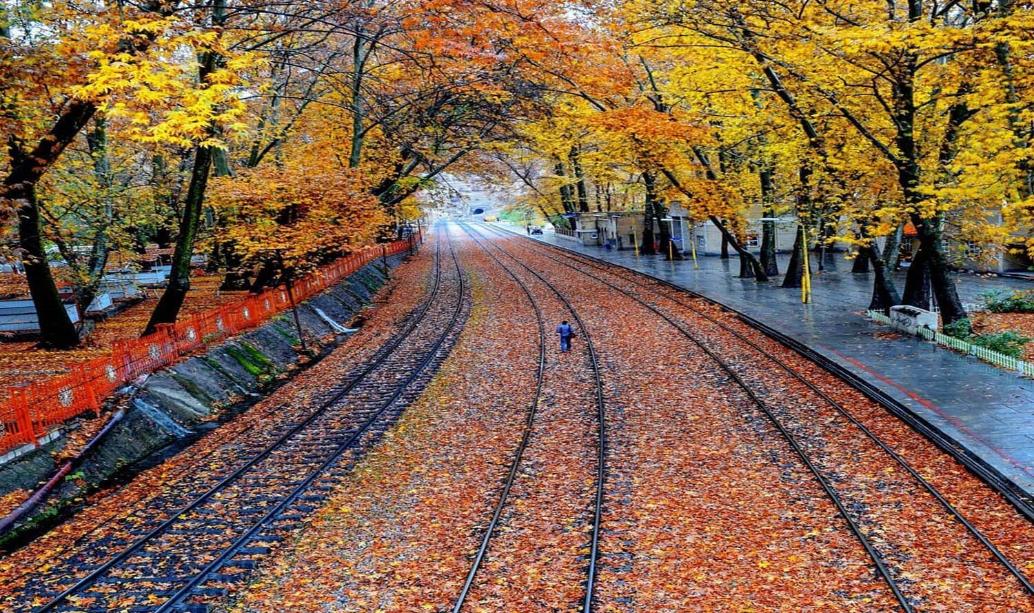 سفر پاییزی با خانواده سفر پاییزی با خانواده